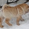 Фотоальбом 28.01.2012